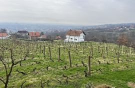 Slavonski Brod, Famiglia