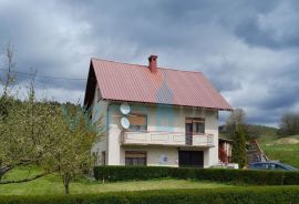 Čabar,Prezid,samostojeća kuća,velika okućnica,drvarnica,prodaja, Čabar, House