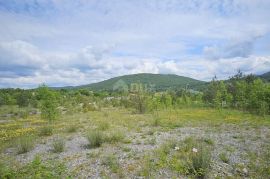 MATULJI, RUPA - građevinsko zemljište 15000m2 u komercijalnoj zoni za najam, Matulji, Land