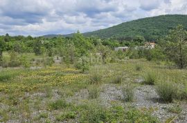 MATULJI, RUPA - građevinsko zemljište 15000 m2 u komercijalnoj zoni, Matulji, Terreno