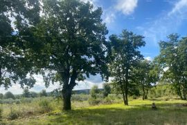 Građevinsko zemljište Građevinsko zemljište na prodaju - Barban, Manjadvorci, Barban, Tierra