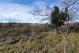 ISTRA, BARBAN - Zemljište s pravomoćnom dozvolom i plaćenim komunalijama, prekrasan pogled, Barban, Земля