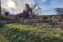 ISTRA, BARBAN - Zemljište s pravomoćnom dozvolom i plaćenim komunalijama, prekrasan pogled, Barban, Земля