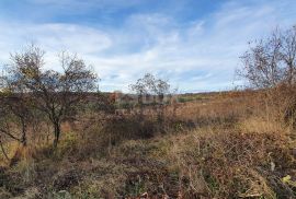 ISTRA, BARBAN - Zemljište s pravomoćnom dozvolom i plaćenim komunalijama, prekrasan pogled, Barban, Земля