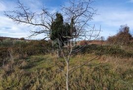 ISTRA, BARBAN - Zemljište s pravomoćnom dozvolom i plaćenim komunalijama, prekrasan pogled, Barban, Земля