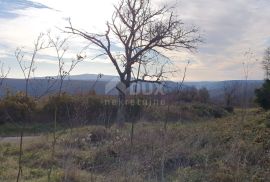 ISTRA, BARBAN - Zemljišta s pravomoćnim građevinskim dozvolama za gradnju 4 kuće s bazenima, komunalije plaćene, Barban, Земля