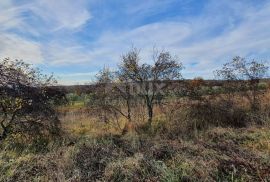 ISTRA, BARBAN - Zemljište s pravomoćnim građevinskim dozvolama i plaćenim komunalijama, prekrasan pogled sve do mora, Barban, Земля