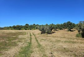 ISTRA, POMER - Uredno građevinsko zemljište s pogledom na more, Medulin, Terra