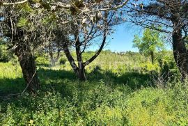 Građevinsko zemljište u Premanturi na prodaju, Medulin, Terreno