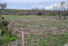 Poljoprivredno zemljište Prodaja poljoprivrednog zemljišta, Marčana, Marčana, Terra