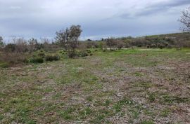 Poljoprivredno zemljište Prodaja poljoprivrednog zemljišta, Marčana, Marčana, Terra