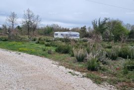 Poljoprivredno zemljište Prodaja poljoprivrednog zemljišta, Marčana, Marčana, Terra