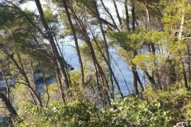 Građevinsko zemljište Prodaja građevinskog zemljišta, Korčula, Korčula, Terrain