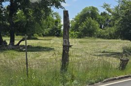 ISTRA, ŽMINJ - Građevinsko zemljište na rubu naselja, Žminj, Land