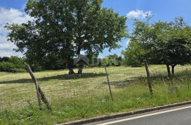 ISTRA, ŽMINJ - Građevinsko zemljište na rubu naselja, Žminj, Land