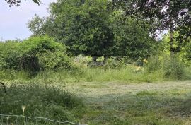 ISTRA, ŽMINJ - Građevinsko zemljište na rubu naselja, Žminj, Land