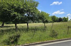 ISTRA, ŽMINJ - Građevinsko zemljište na rubu naselja, Žminj, Land