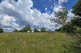 ISTRA, ŽMINJ - Građevinsko zemljište na rubu naselja, Žminj, Land