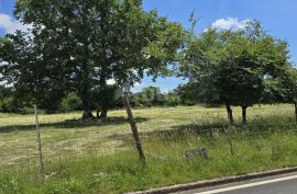 ISTRA, ŽMINJ - Građevinsko zemljište na rubu naselja, Žminj, Land