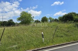 ISTRA, ŽMINJ - Građevinsko zemljište na rubu naselja, Žminj, Land