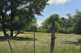 ISTRA, ŽMINJ - Građevinsko zemljište na rubu naselja, Žminj, Land