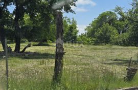 ISTRA, ŽMINJ - Građevinsko zemljište na rubu naselja, Žminj, Land