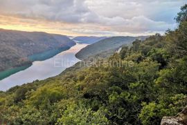 Istra, LIM,poljoprivredno zemljište s pogledom na Limski zaljev,30.902 m2, Sveti Lovreč, Terreno