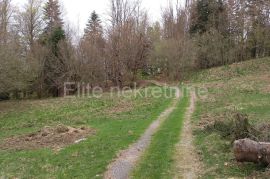 Crni lug - prodaja poljoprivrednog zemljišta od 15,876m2!, Delnice, Terrain