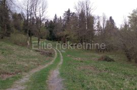 Crni lug - prodaja poljoprivrednog zemljišta od 15,876m2!, Delnice, Terrain