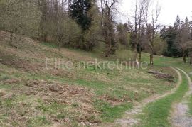 Crni lug - prodaja poljoprivrednog zemljišta od 15,876m2!, Delnice, Terrain