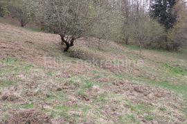 Crni lug - prodaja poljoprivrednog zemljišta od 15,876m2!, Delnice, Terrain