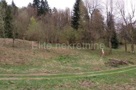 Crni lug - prodaja poljoprivrednog zemljišta od 15,876m2!, Delnice, Terrain