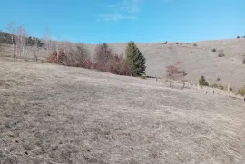 Prodajem placeve Divcibare-Tometino polje, Valjevo, Tierra