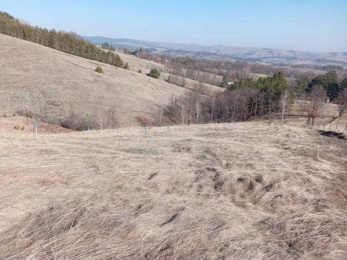Prodajem placeve Divcibare-Tometino polje, Valjevo, Tierra