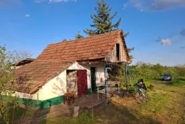 Vocnjak sa hladnjacom, Kikinda, Terreno