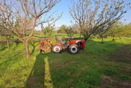 Vocnjak sa hladnjacom, Kikinda, Terreno