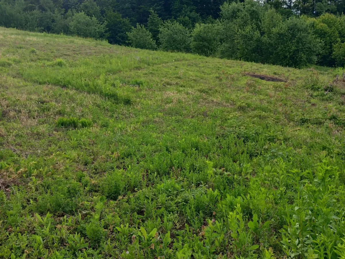 Poljoprivredno zemljište - Motike, Banja Luka, Banja Luka, Land