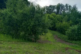 Poljoprivredno zemljište - Motike, Banja Luka, Banja Luka, Land