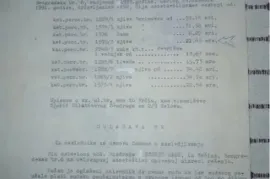 Vrcin plac 1/1,vlasnik,21.83ari, Grocka, Terrain
