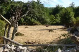 Cres, Beli - Kuća, 567 M2, Cres, Casa