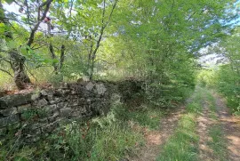 Lijepo zemljište sa pogledom ne jezero Butoniga, Buzet, Terra