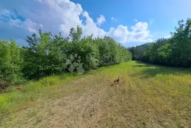 Lijepo zemljište sa pogledom ne jezero Butoniga, Buzet, Terra