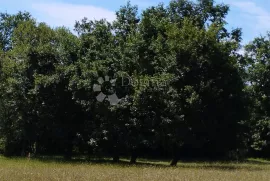 KUĆA OKRUŽENA PRIRODOM, Barban, Σπίτι