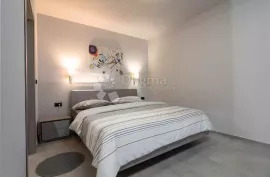 PREDIVNA VILLA SA INFINITY BAZENOM, Vižinada, بيت