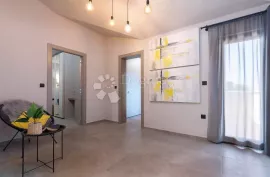 PREDIVNA VILLA SA INFINITY BAZENOM, Vižinada, بيت