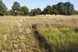 Poljoprivredno zemljište na rubu građevinske zone u okolici Žminja, Žminj, Terra