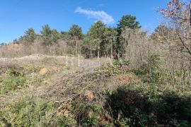 CRIKVENICA - Prostrani građevinski teren sa panoramskim pogledom, Crikvenica, Land