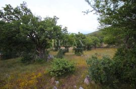 KLENOVICA, POLJICE- Poljoprivredno zemljište 6643 m2 sa dvije ruševine i pogledom, Novi Vinodolski, Land