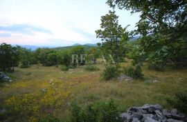 KLENOVICA, POLJICE- Poljoprivredno zemljište 6643 m2 sa dvije ruševine i pogledom, Novi Vinodolski, Land