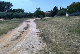 Prostrano zemljište na lijepoj lokaciji, Poreč, Земля